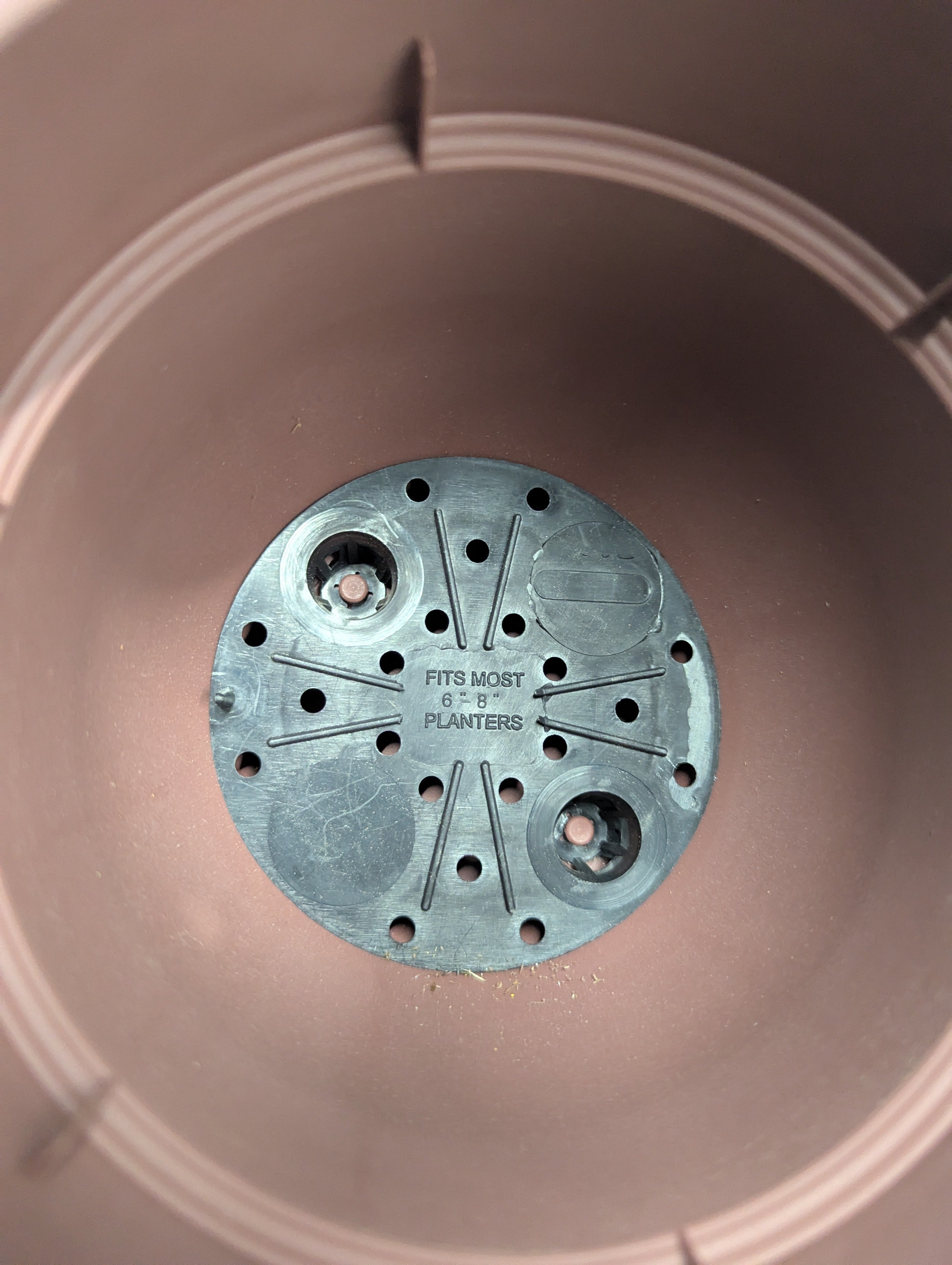 Ariana Self Watering Resin Planter 6 in. Merlot Burgundy