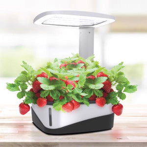 Feit Grow Fixtures Hydroponic Grow Light 37 W - Stu's Home Improvement Outlet