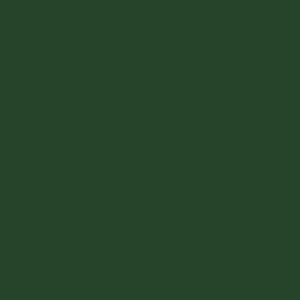 Dupli - Color EBTY16037 Perfect Match Automotive Spray Paint – Toyota Dark Green Mica, 6M2 – 8 oz. Aerosol Can - Stu's Home Improvement Outlet