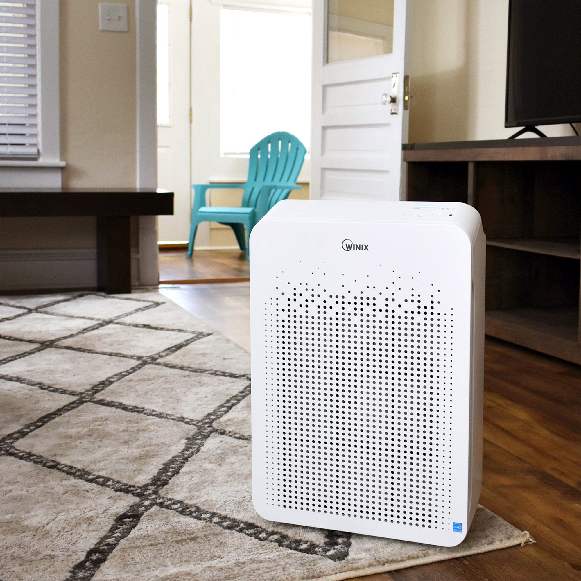 Winix True HEPA 4 Stage Air Purifier with Wi-Fi and Additional Filter