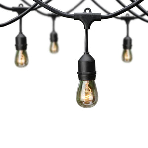 Hampton Bay 12 - Light 24 ft. Indoor/Outdoor Plug - In Incandescent Edison Bulb String Light - Stu's Home Improvement Outlet