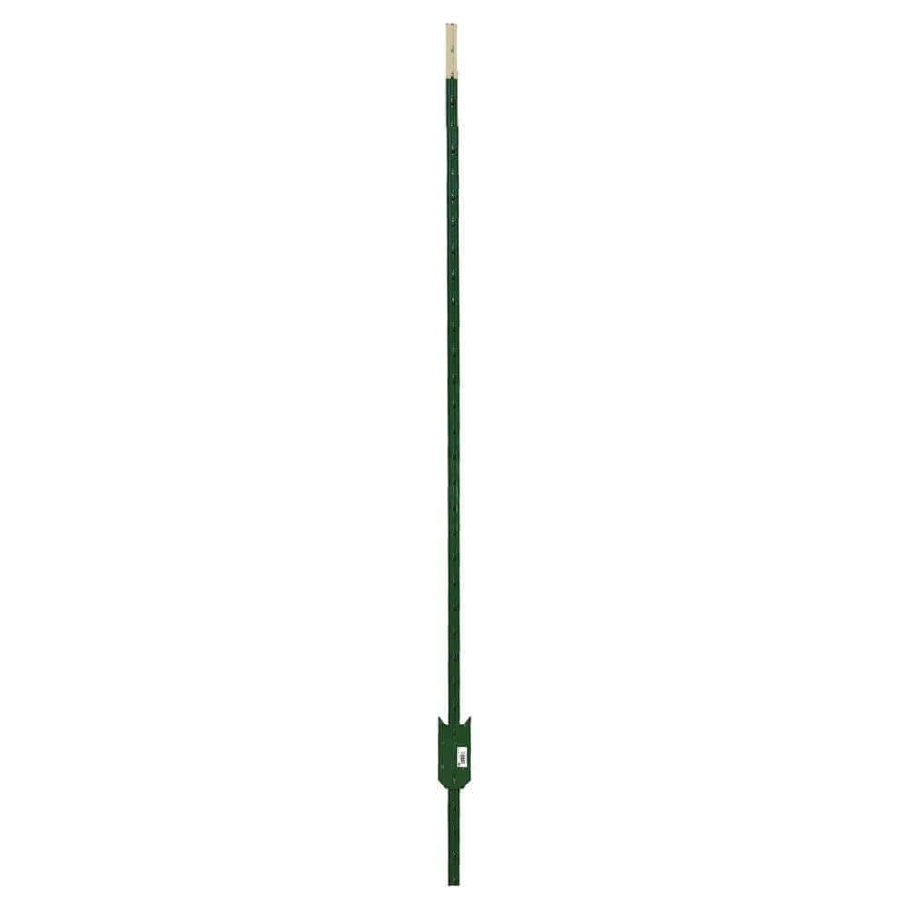 1-3/4 in. x 3-1/2 in. x 8 ft. Green Steel Fence T-Post with Anchor Plate