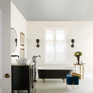 1 gal. White Ceiling Flat Interior Paint & Primer - Stu's Home Improvement Outlet