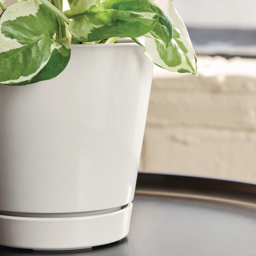 4.4 in. Piedmont Small White Plastic Planter (4.4 in. D x 4.2 in. H) with Drainage Hole and Attached Saucer