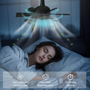 18 in. Black 2 - in - 1 Dimmable Indoor LED Ceiling Fan Flush Mount Light with 6 - Speed and Timer Setting - Stu's Home Improvement Outlet