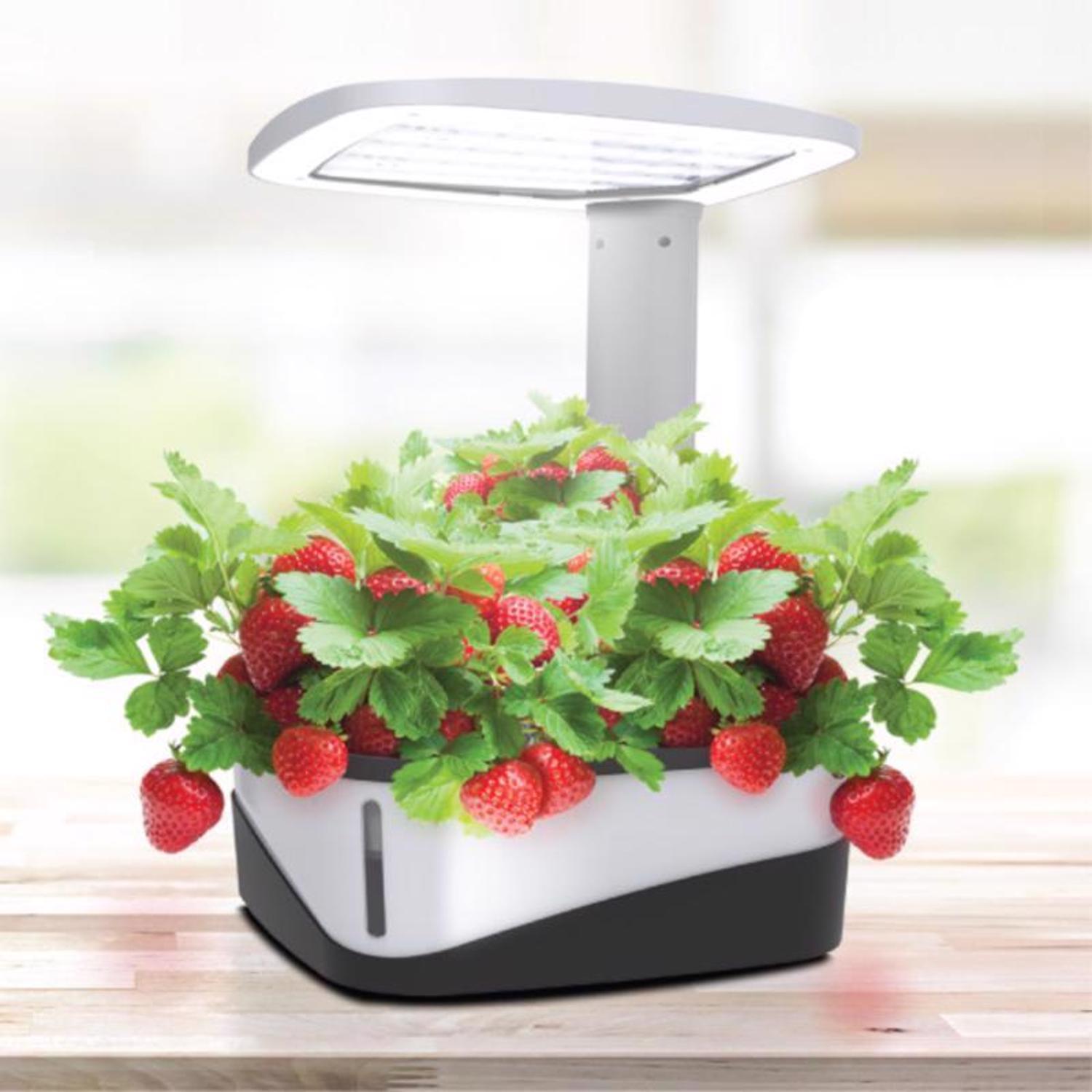 Feit Grow Fixtures Hydroponic Grow Light 37 W - Stu's Home Improvement Outlet