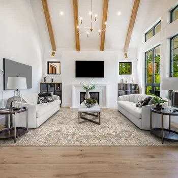 Apache Chenille Area Rug, Rosetta Beige, 9'8