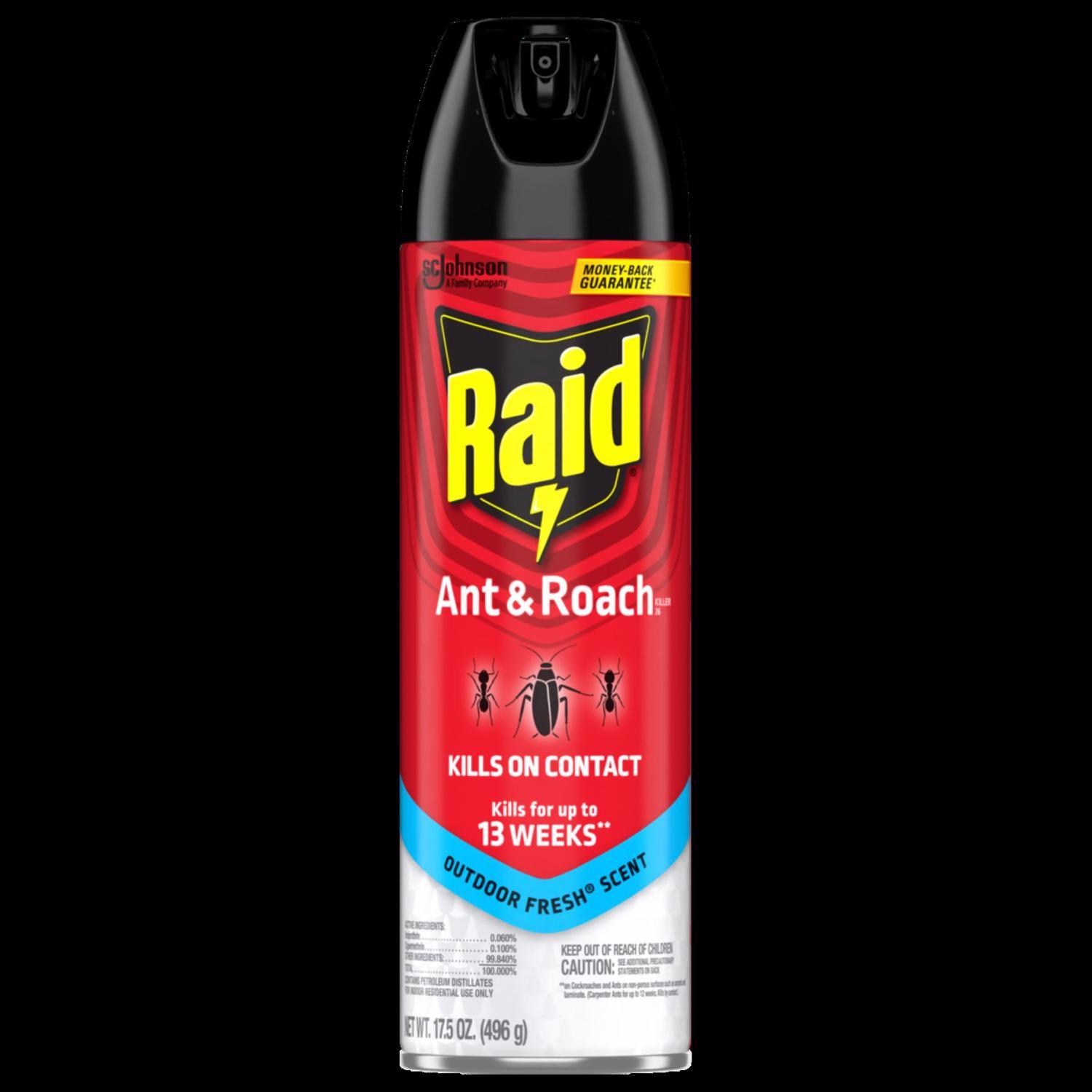 Raid Insect Killer Aerosol 17.5 oz - Stu's Home Improvement Outlet