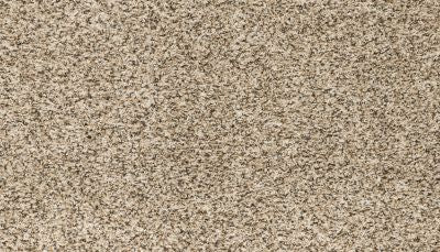 Mohawk Everstrand “Roll With It” Carpet – Cascade 12x10