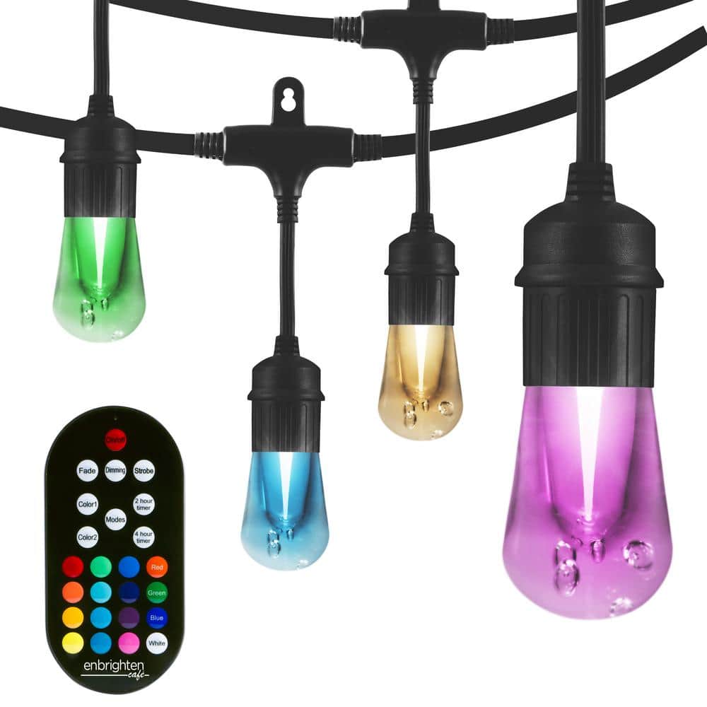 12 Bulb 24 ft. Indoor Outdoor/Indoor Black Vintage Color Changing LED String Lights with Remote, Acrylic Edison Bulbs