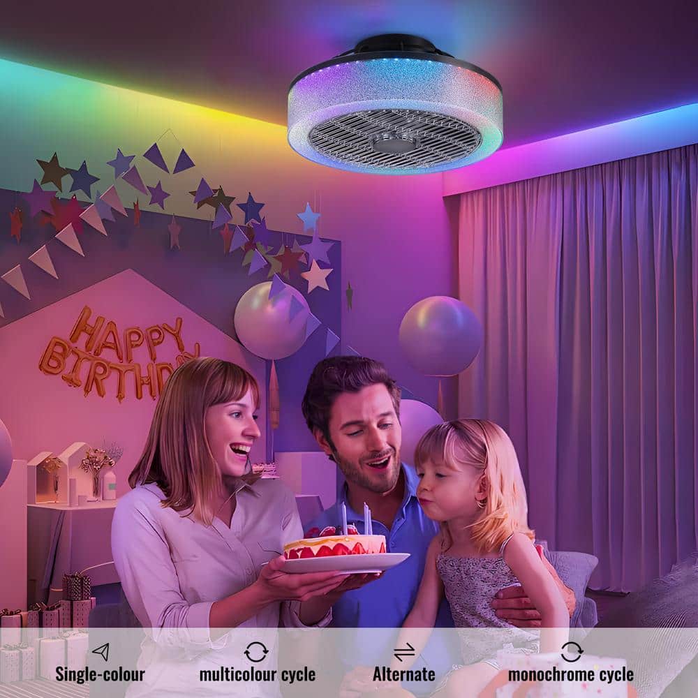 20 in. Indoor Black Caged Enclosed Ceiling Fan with LED Light Modern Low Profile Ceiling Fan with Remote and APP Control