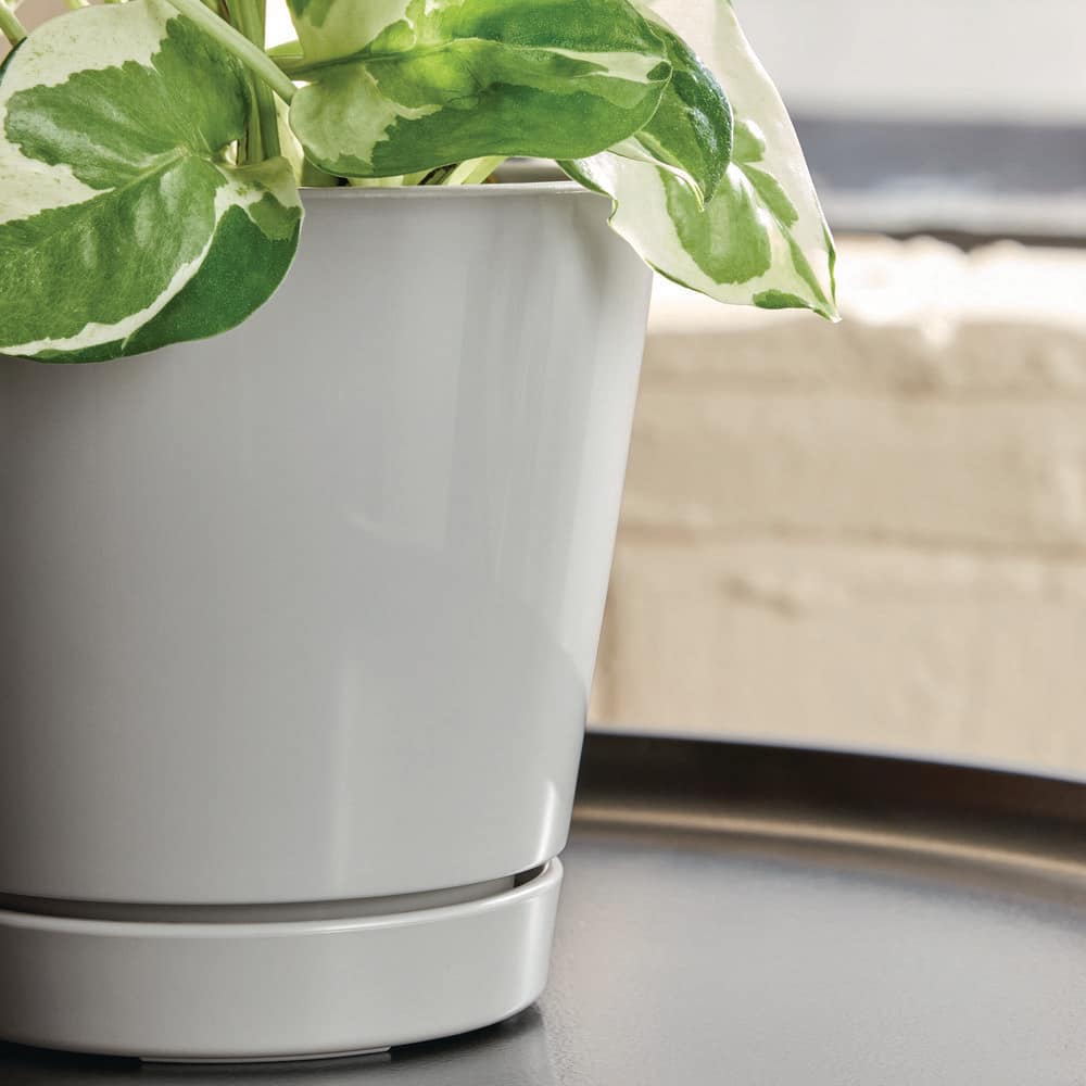 4.4 in. Piedmont Small Grey Plastic Planter (4.4 in. D x 4.2 in. H) with Drainage Hole and Attached Saucer