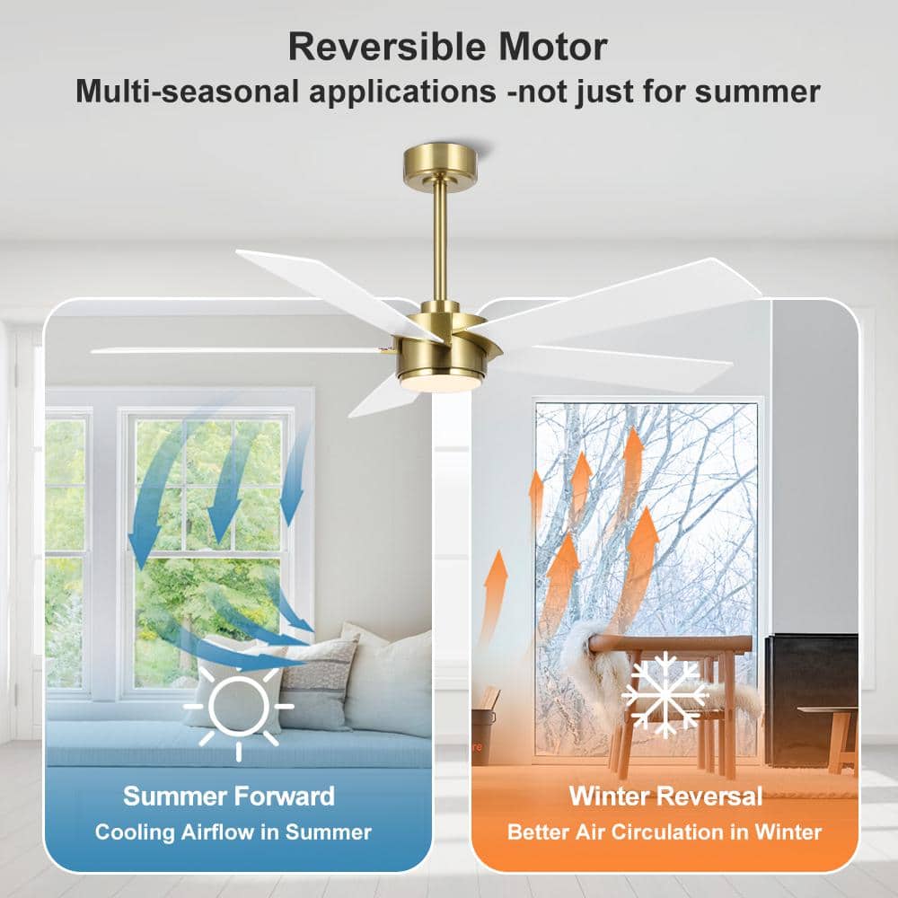 64 in. (5.3 ft.) 5 Blades Indoor Ceiling Fan with Integrated LED and Remote, Gold - Stu's Home Improvement Outlet