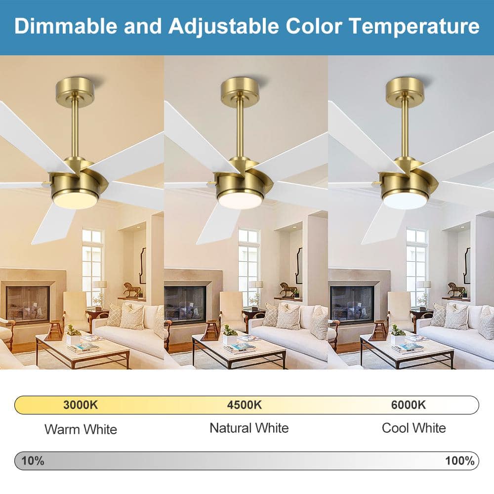 64 in. (5.3 ft.) 5 Blades Indoor Ceiling Fan with Integrated LED and Remote, Gold - Stu's Home Improvement Outlet