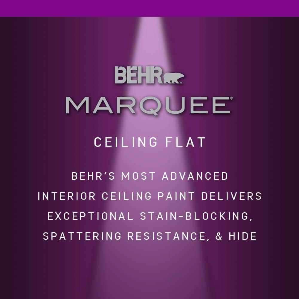 1 gal. White Ceiling Flat Interior Paint & Primer